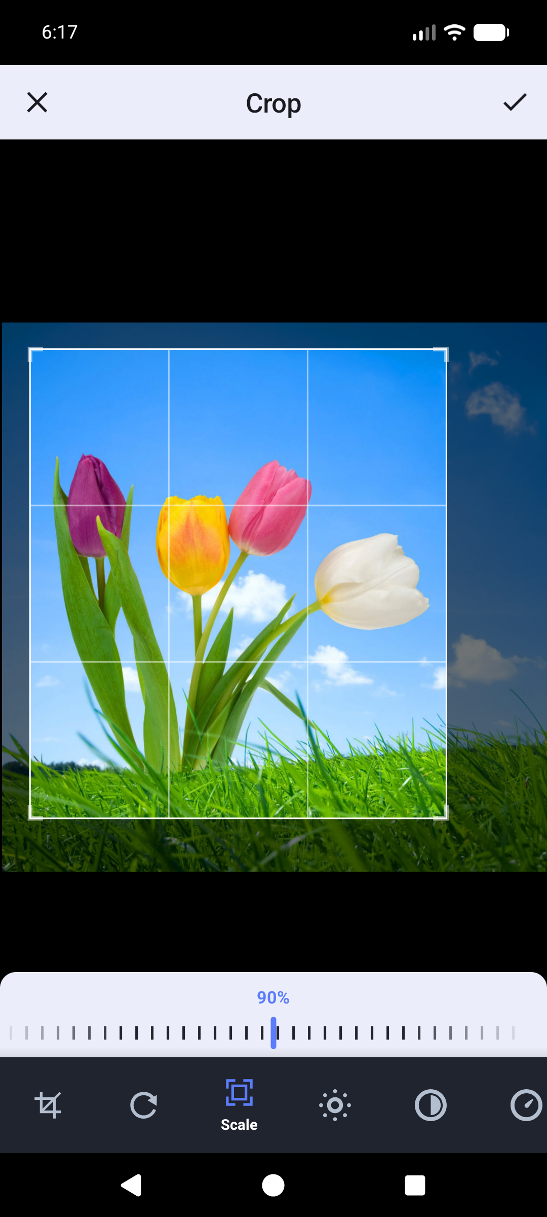 Cropping a photo to fit a form's requirement